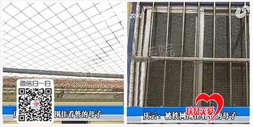 �������Ϻ��������ܾ���ĸ��ʮ���� ����Ǯҽ����������